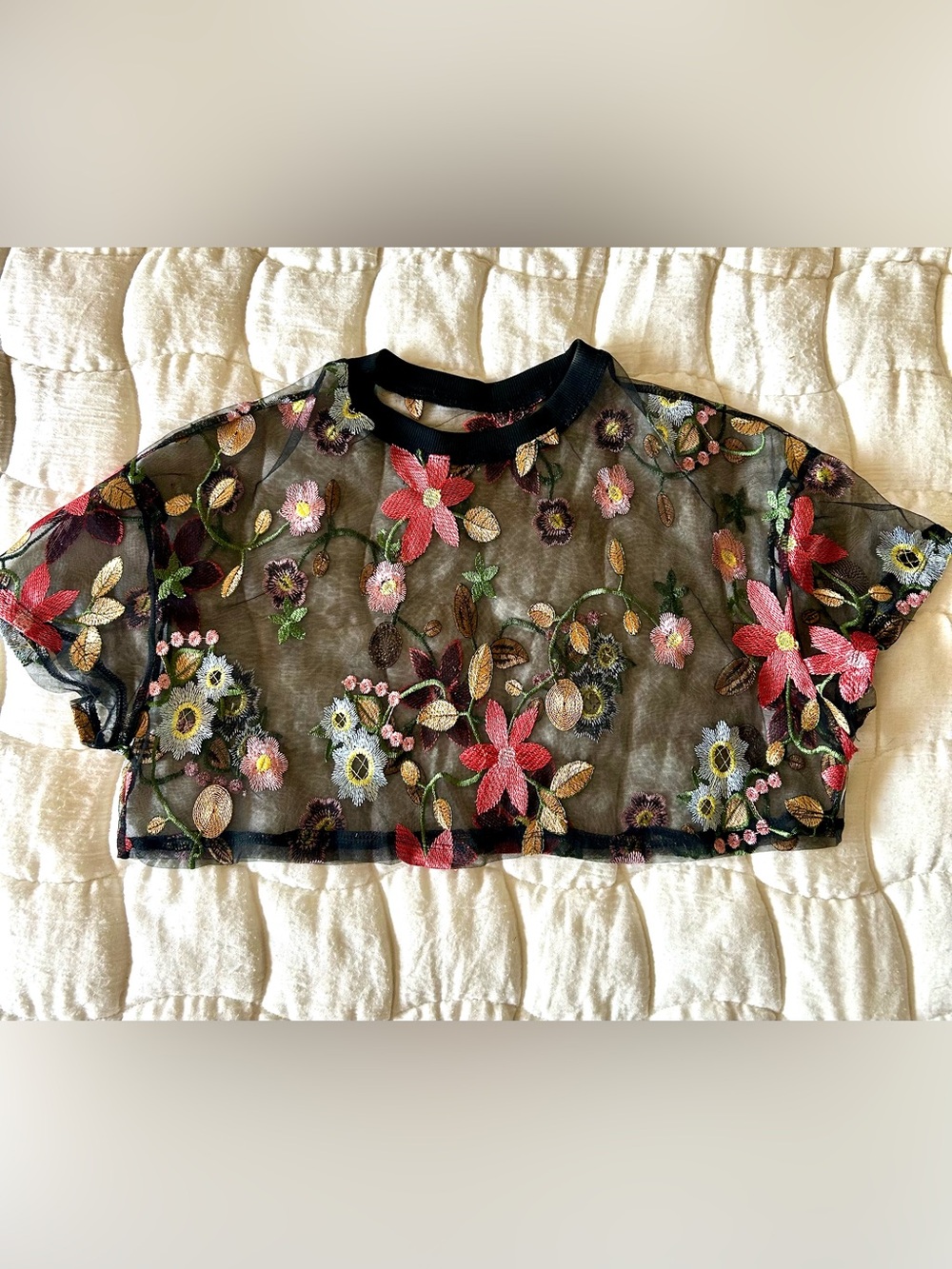 Sheer Black Floral Embroidered Crop Top